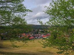 Ferien Hotel Rennsteigblick — Bild 4