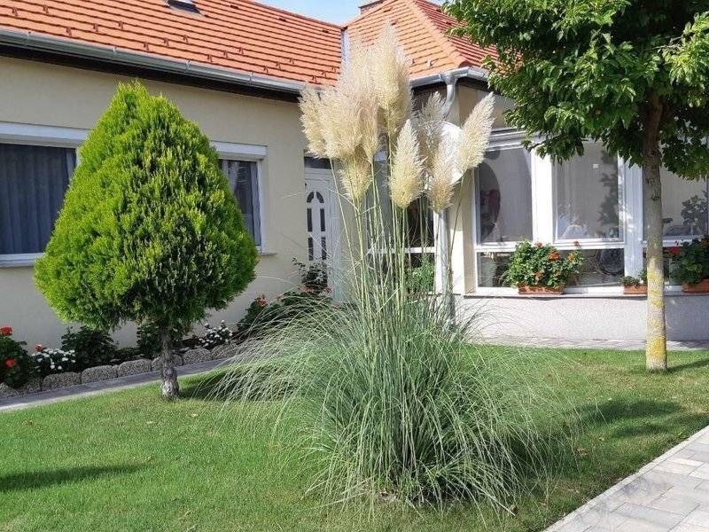 in Bük im Parterre mit Garten / 2 pax