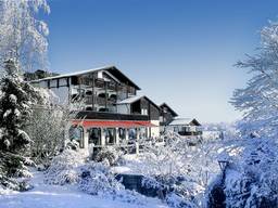 Tanneck — Bild 2