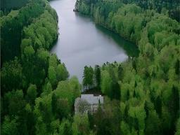 Waldhalle — Bild 1