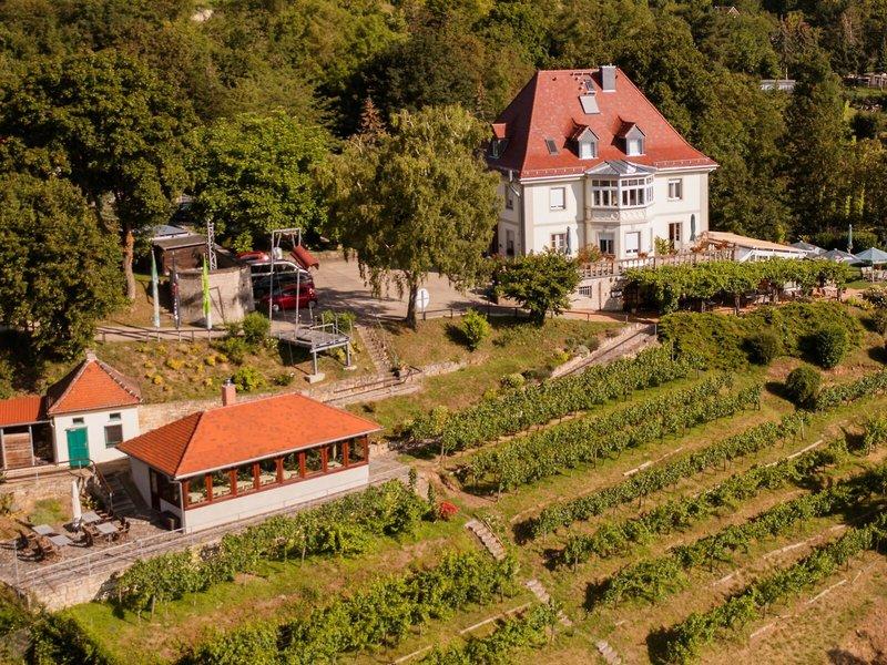 Flair Hotel Villa Ilske 3*