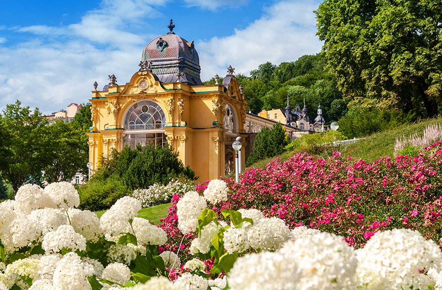 Innovation und Tradition: moderne Behandlungsmethoden in Mariánské Lázně