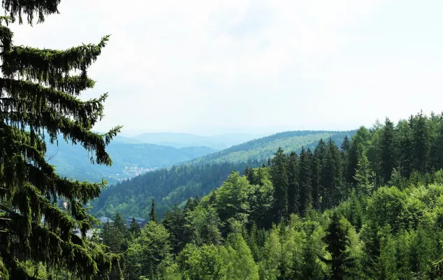 grüne Wälder und Berge