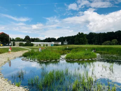 grünes Grasfeld in der Nähe eines Sees unter blauem Himmel bei Tag