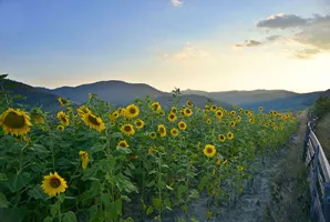 Devin, Bulgaria