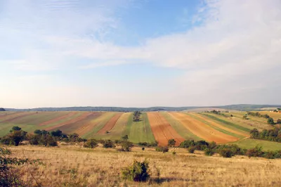 Bulgarische Felder