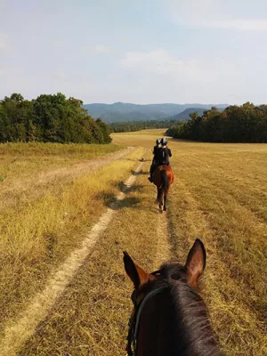 Reiten auf Bergpfaden