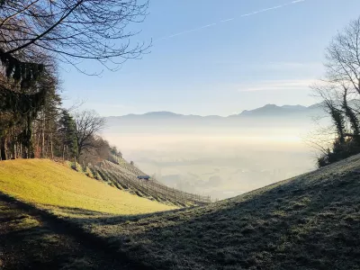 Nebel, Berge, Berneck Bild