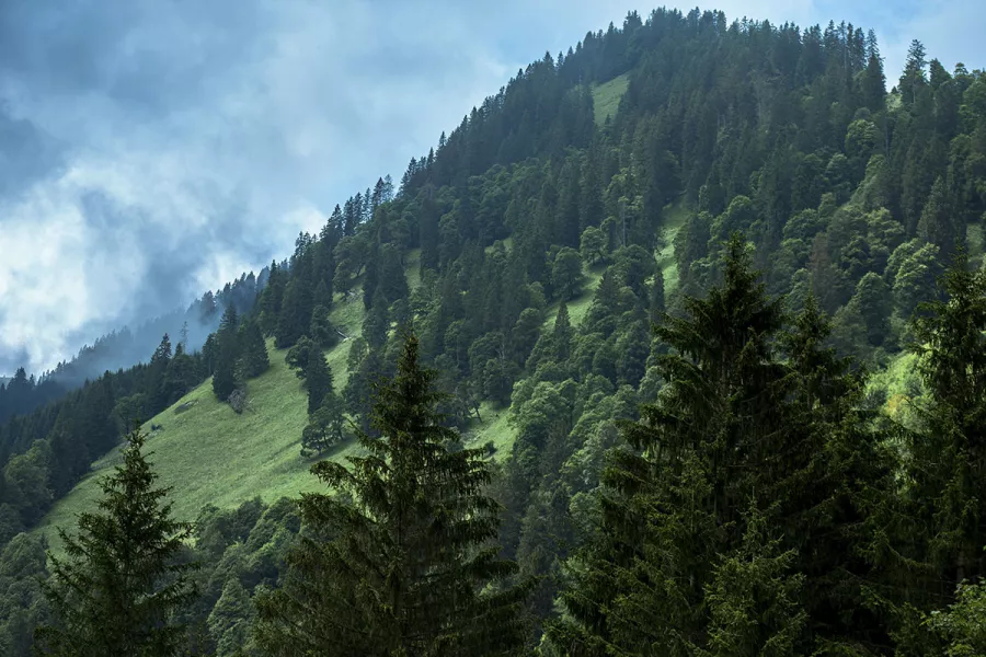 Berge von Bad Brückenau