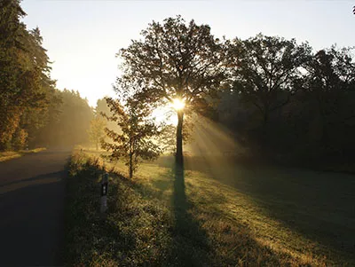  Morgendämmerung im Bayerischen Wald