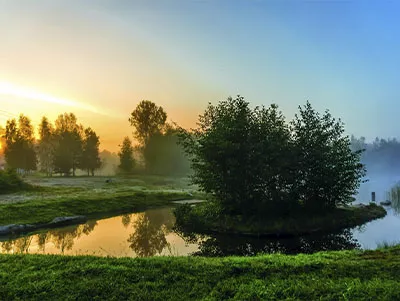 Waldsee, Sonnenaufgang, goldene Stunde, Bäume