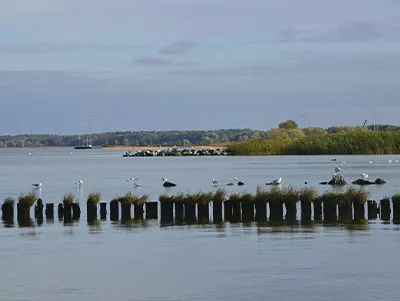 Ausblick aufs Stettiner Haff vom Strand des Haffbades Ueckermünde