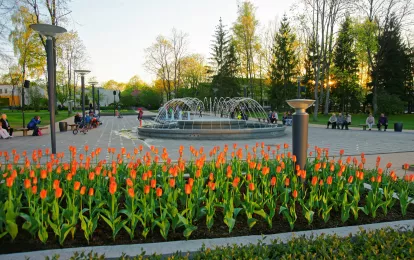  Tulpenblumen im Central Park in Druskininkai, Lettland.