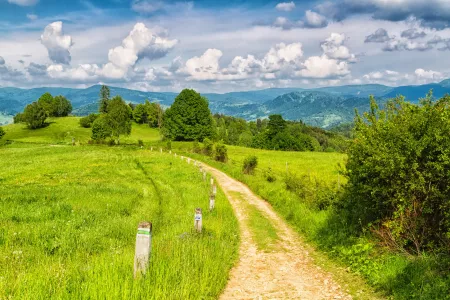 Landschaft in den Beskid Sadecki Bergen in den Karpaten, Polen, mit Wiesen und Wäldern in der Nähe des Dorfes Lomnica Zdroj.