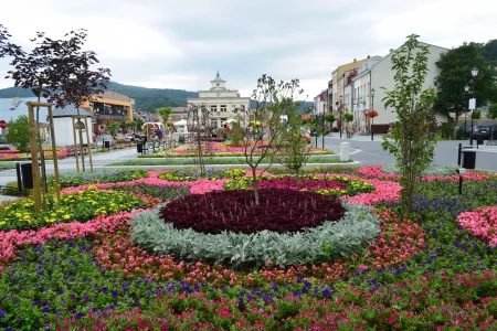 Blühende Tulpen auf dem öffentlichen Marktplatz in Muszyna, Polen