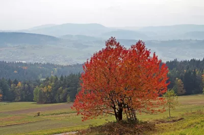 Blick auf die Herbstberge