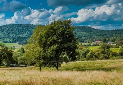 Berge und Baum, Polen