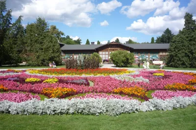 Blumen in Ciechocinek, Polen