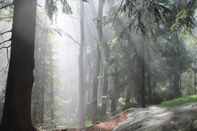 Verirrte Felsen, Kudowa zdrój, Der Nationalpark 