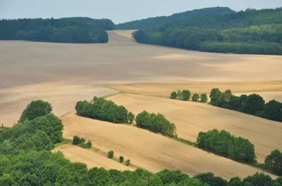 Feld, Ansicht, Landschaftsbild