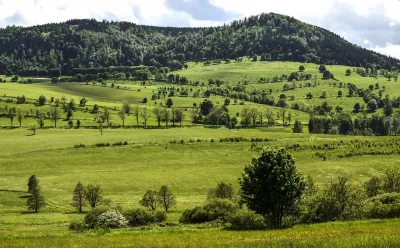 Berge, Feld, Wald Bild