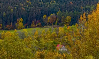 Tal, Herbst, Wald