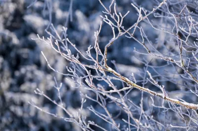 Äste, Schnee, Winter