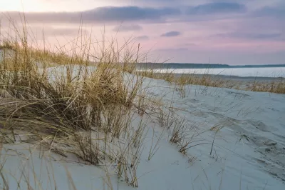 Ostsee, Natur, Dünengras Bild