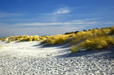 Dünenlandschaft, Strandbild