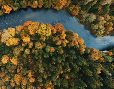 Herbstlicher Wald- und Flussblick von oben