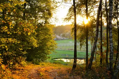 ein Feldweg mitten im Wald