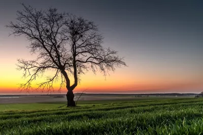 Einsamer Baum, Sonnenuntergang, Dämmerung über dem Tal Bild