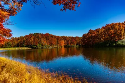 See, Herbstlandschaft Bild