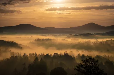 Sonnenaufgang über dem nebligen Wald