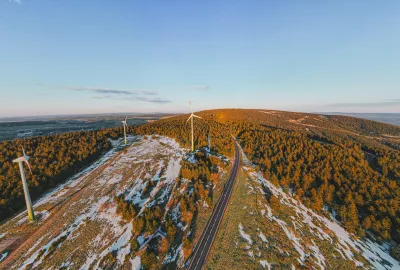 Straße und Wald von oben