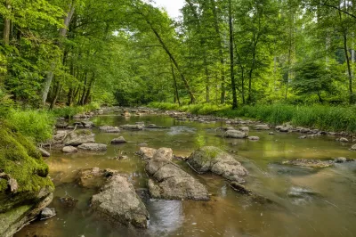 grüne Bäume und Felsen im Bach