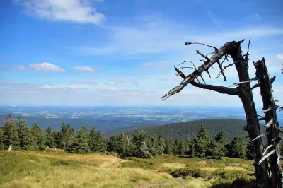 Jeseník, Berge, Wald Bild