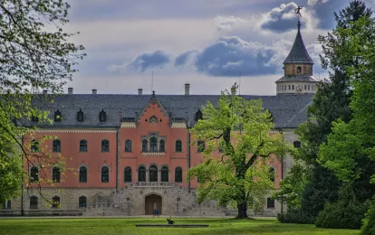 Schloss, Gebäude, Park Bild