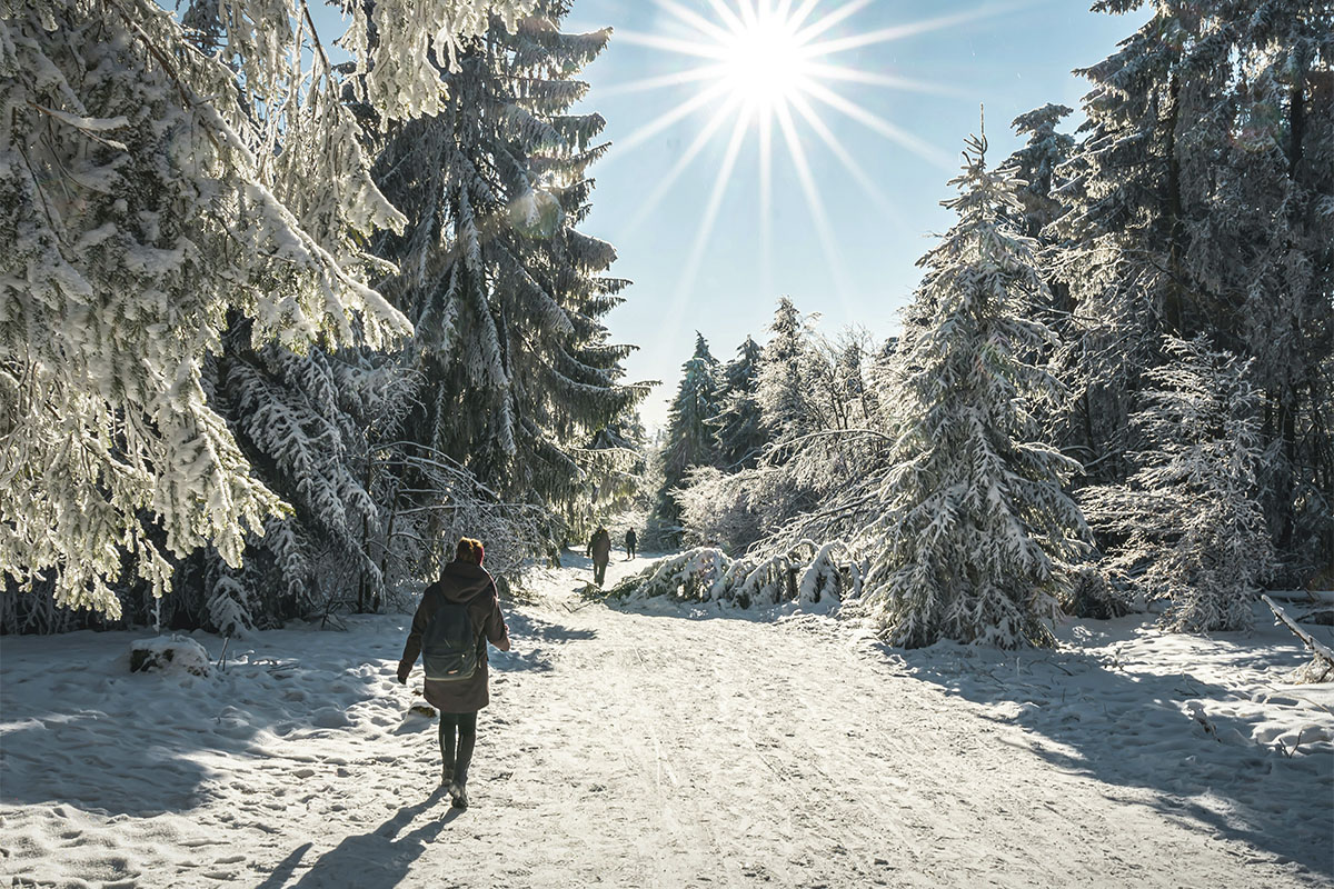 Feldberg, Deutschland