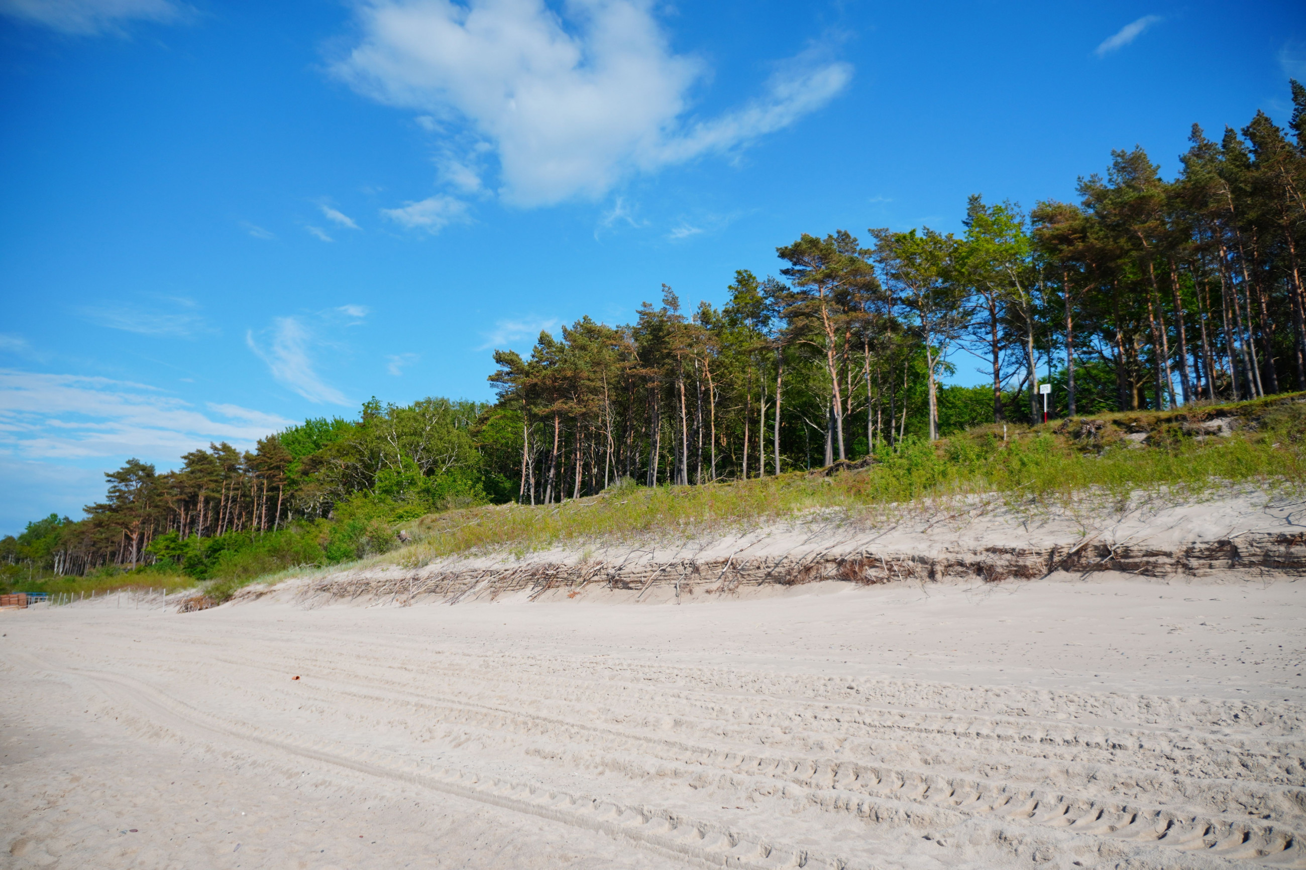 Schöner Sandstrand mit Wald in Pobierowo, Polen